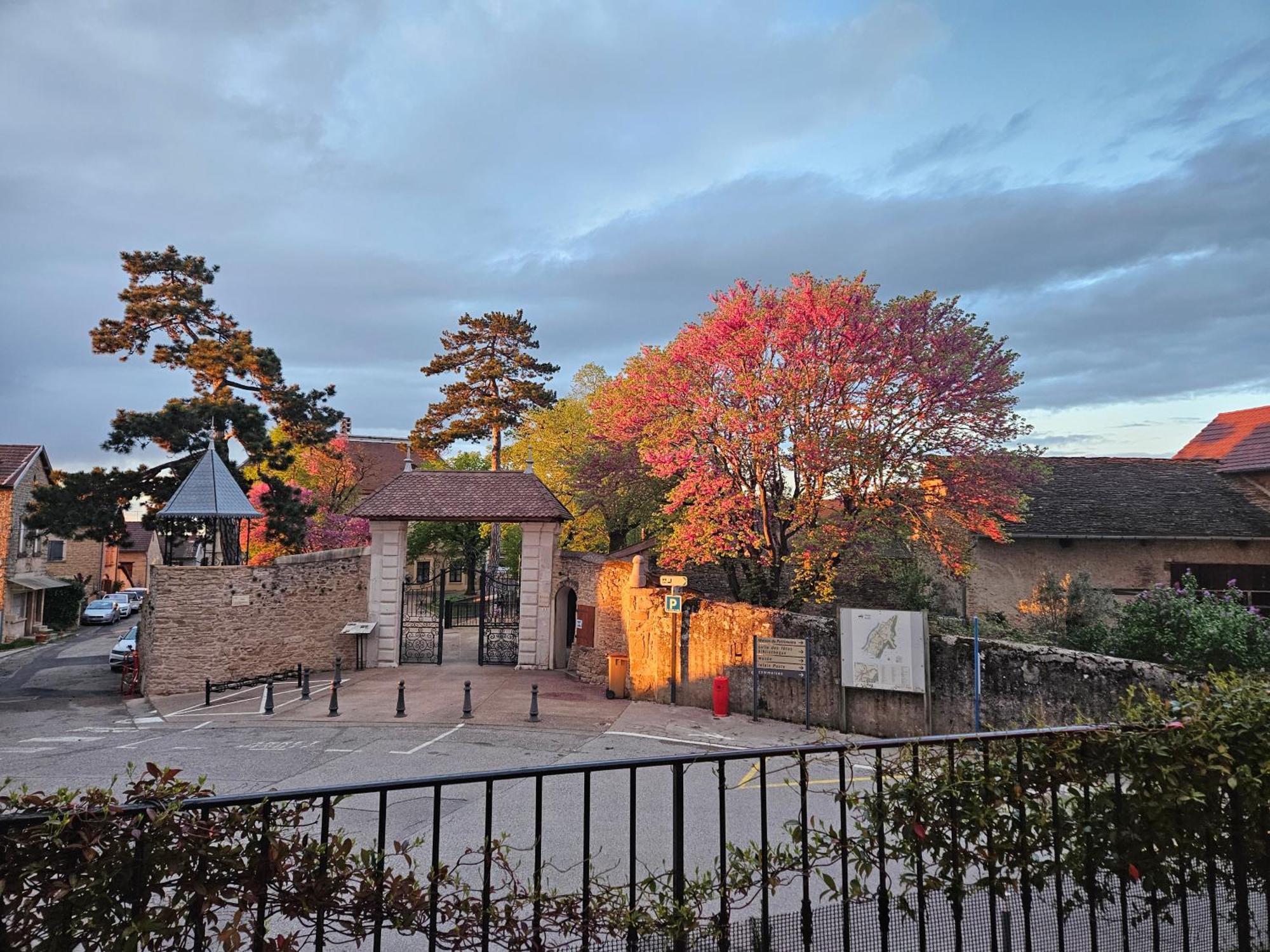 Le Val D'Amby Hotel Hieres-Sur-Amby Exterior photo